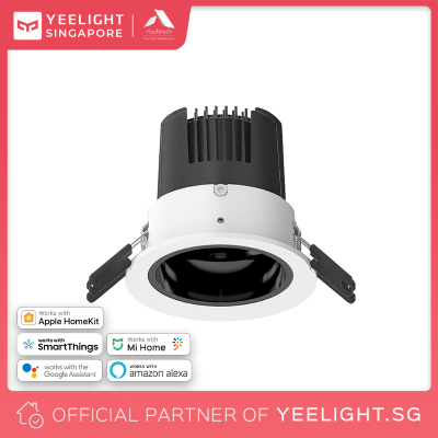 yl home camera