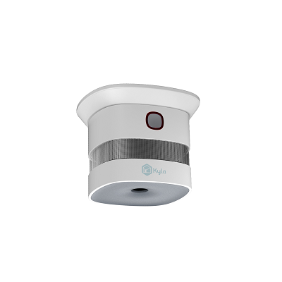 smart smoke detector with camera